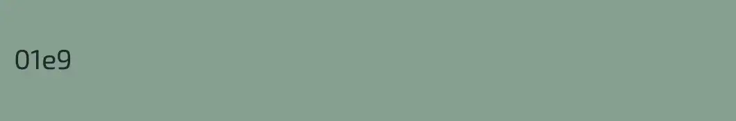01e9