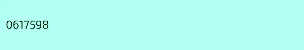 0617598