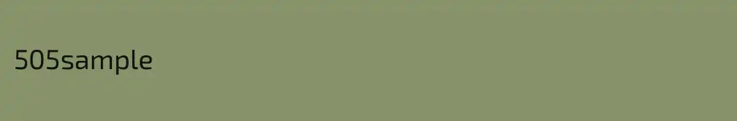 505sample