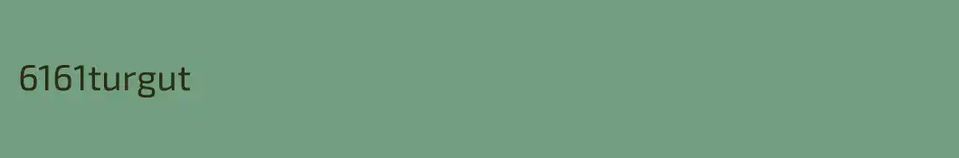 6161turgut
