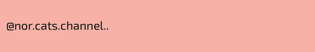 @nor.cats.channel..