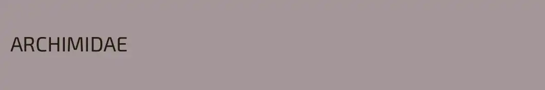 ARCHIMIDAE