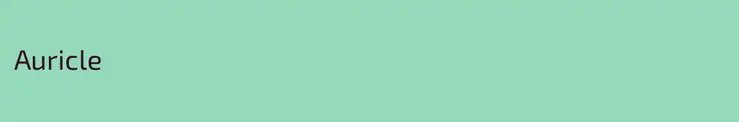 Auricle