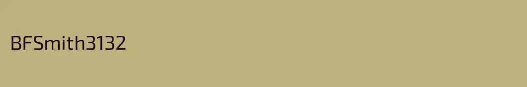 BFSmith3132