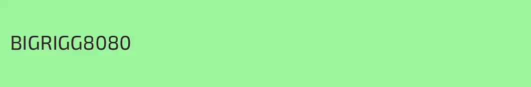 BIGRIGG8080