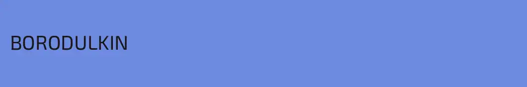 BORODULKIN