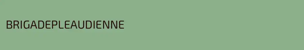 BRIGADEPLEAUDIENNE