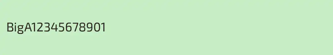 BigA12345678901