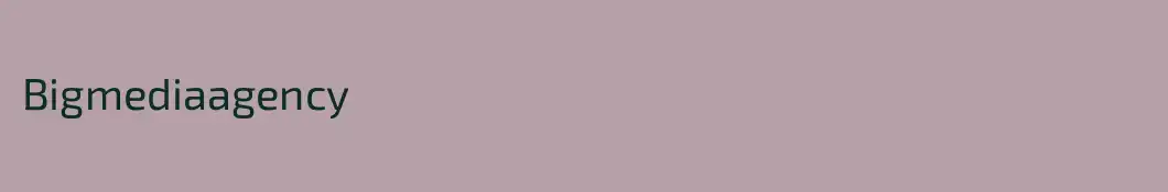 Bigmediaagency