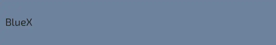 BlueX
