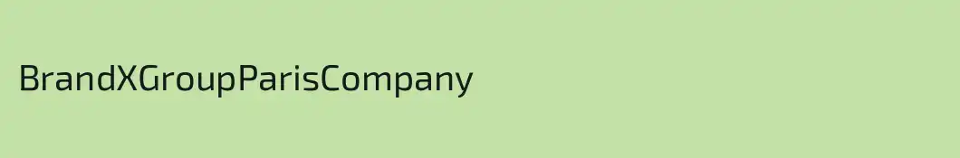 BrandXGroupParisCompany