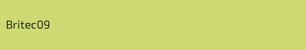 Britec09