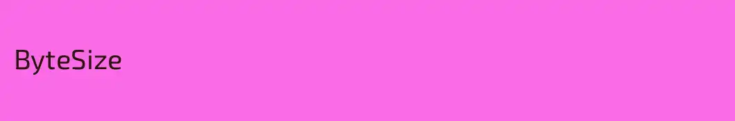 ByteSize