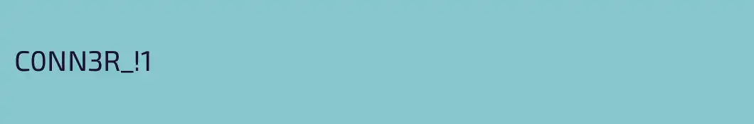 C0NN3R_!1