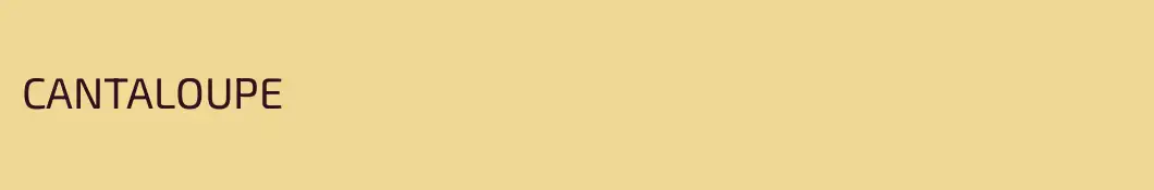 CANTALOUPE