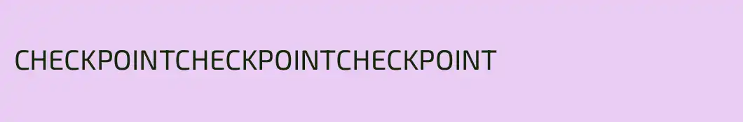 CHECKPOINTCHECKPOINTCHECKPOINT