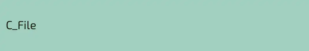 C_File