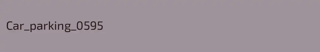 Car_parking_0595