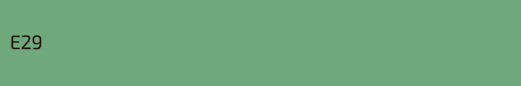 E29