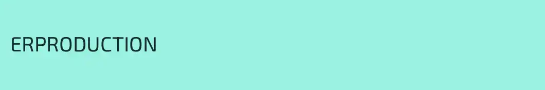 ERPRODUCTION