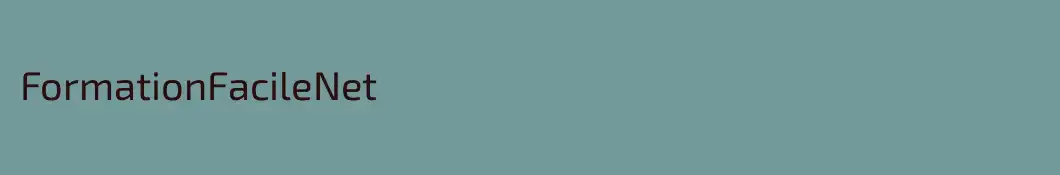 FormationFacileNet
