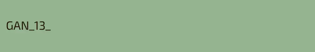 GAN_13_