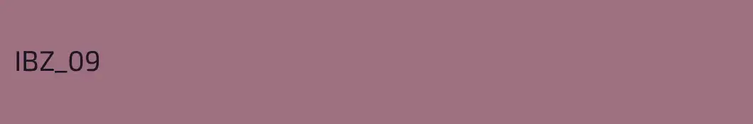 IBZ_09
