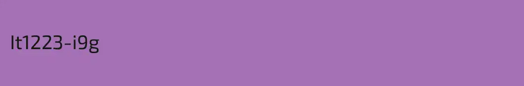 It1223-i9g