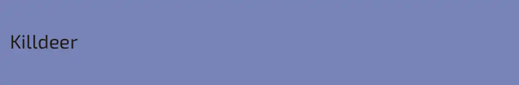 Killdeer