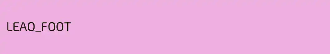 LEAO_FOOT