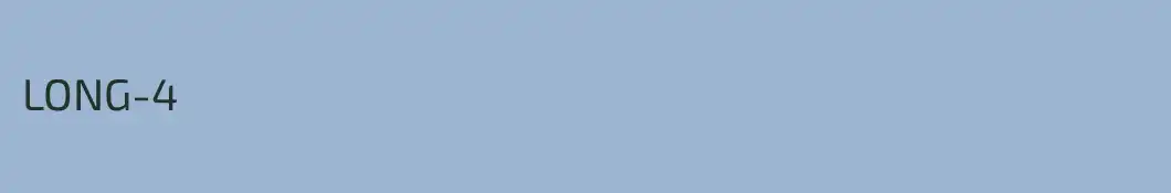 LONG-4
