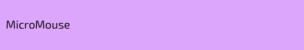 MicroMouse
