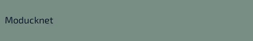 Moducknet