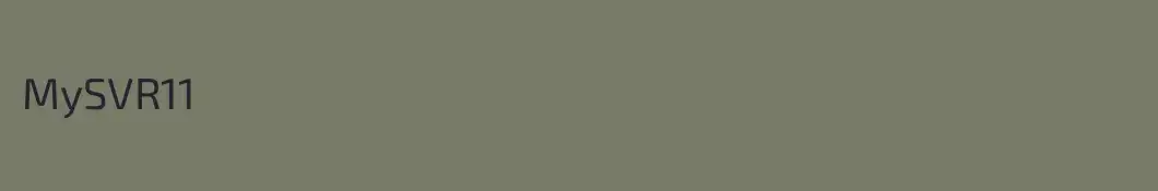 MySVR11