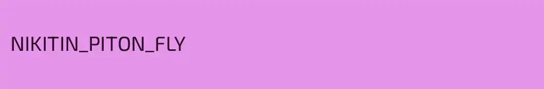 NIKITIN_PITON_FLY