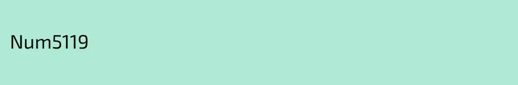 Num5119