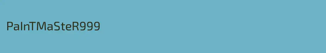 PaInTMaSteR999