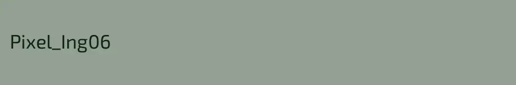 Pixel_Ing06