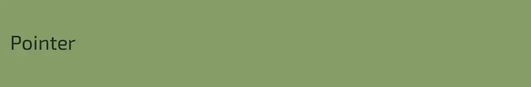 Pointer