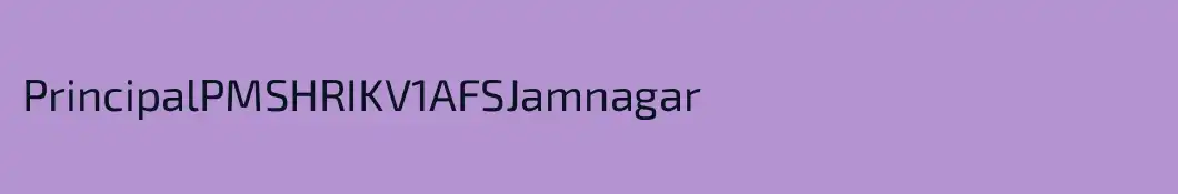 PrincipalPMSHRIKV1AFSJamnagar