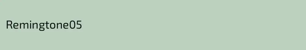 Remingtone05