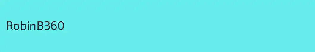 RobinB360