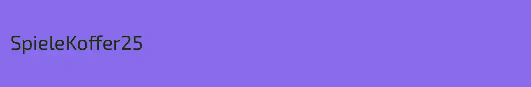 SpieleKoffer25