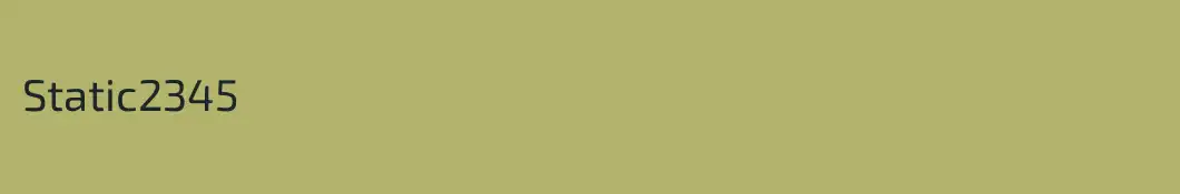 Static2345