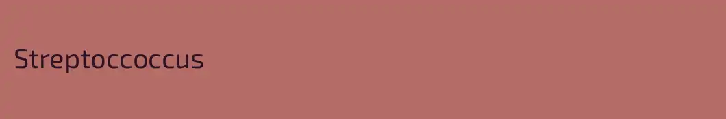 Streptoccoccus