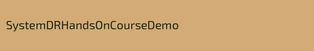 SystemDRHandsOnCourseDemo
