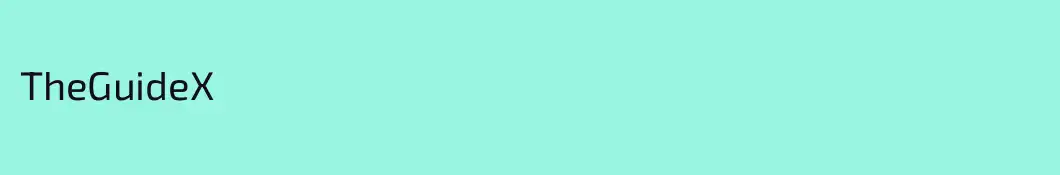 TheGuideX