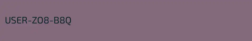 USER-ZO8-B8Q