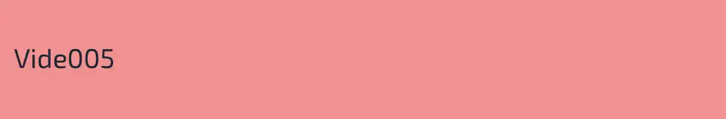 Vide005