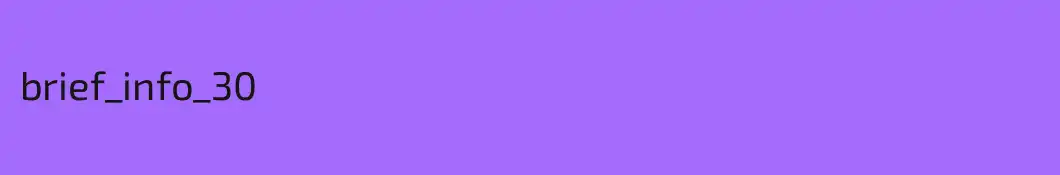 brief_info_30